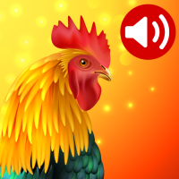 Animals: Ringtones