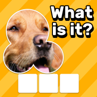 Download APK Zoom Quiz: Close Up Pics Game Latest Version