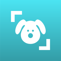 Download APK Dog Scanner: Breed Recognition Latest Version