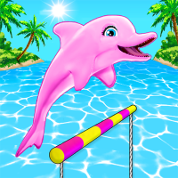 My Dolphin Show