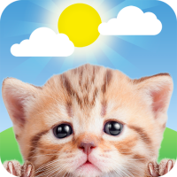 Weather Kitty - App & Widget Weather Forecast