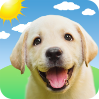 Weather Puppy - App & Widget Weather Forecast