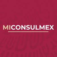 MiConsulmex